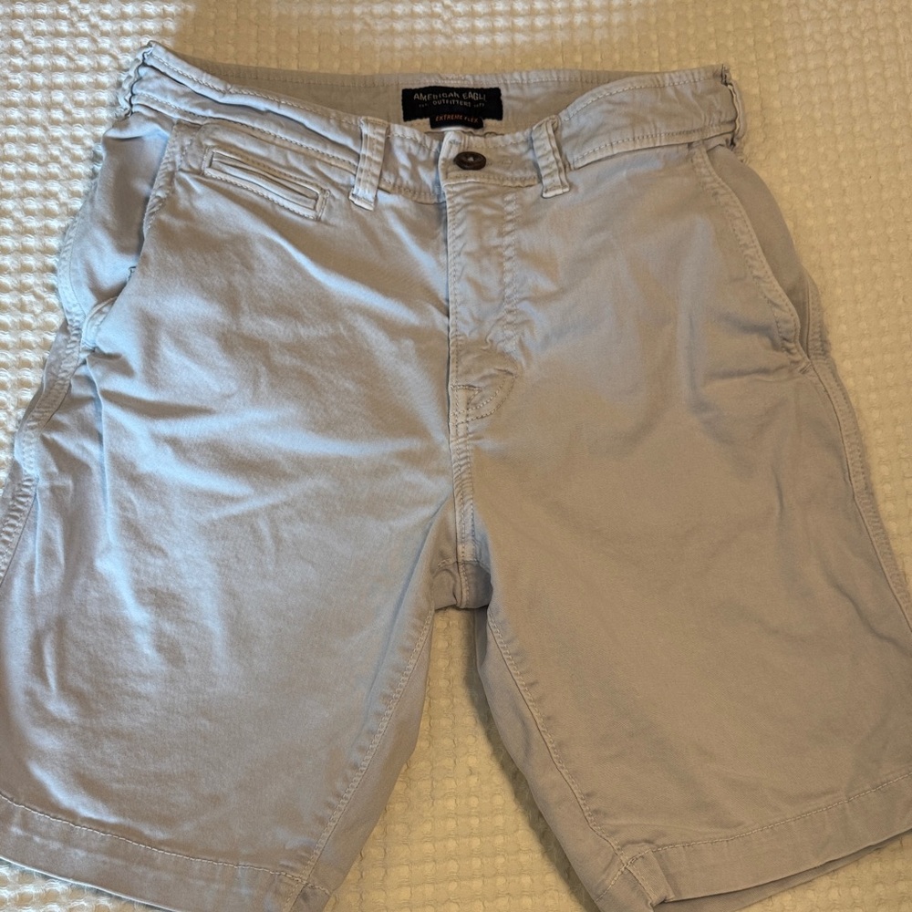 American Eagle Outfitters Men's Gray Flat Front Shorts 9 inch